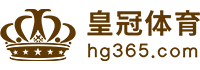 Logo VG棋牌