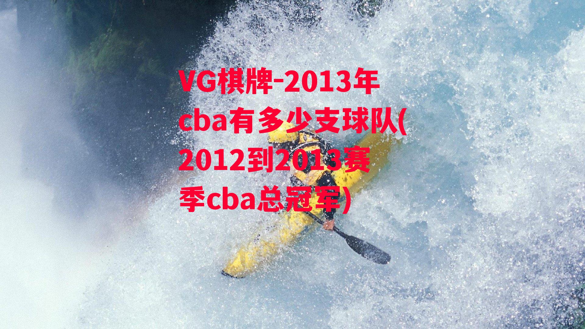 2013年cba有多少支球队(2012到2013赛季cba总冠军)